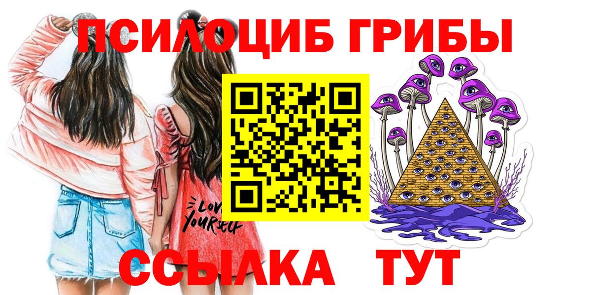 Галлюциногенные грибы Cubensis Кулебаки