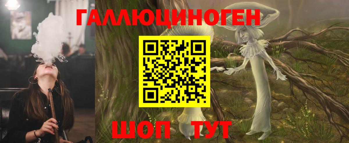 Галлюциногенные грибы прущие грибы  Вход с VPN  Кулебаки 